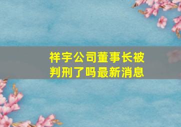 祥宇公司董事长被判刑了吗最新消息