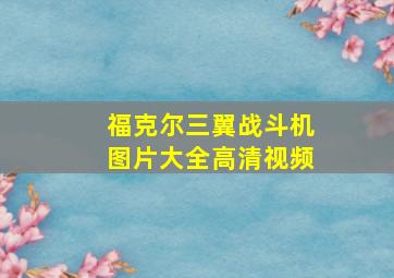 福克尔三翼战斗机图片大全高清视频