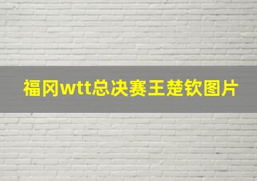 福冈wtt总决赛王楚钦图片