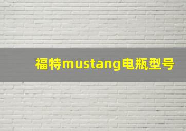 福特mustang电瓶型号