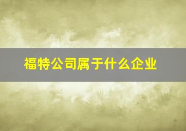 福特公司属于什么企业