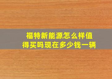 福特新能源怎么样值得买吗现在多少钱一辆