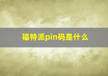 福特派pin码是什么