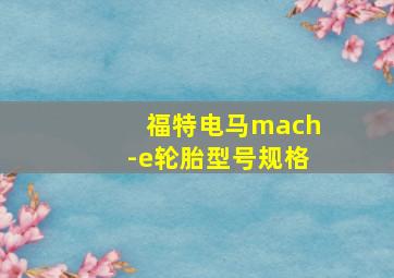 福特电马mach-e轮胎型号规格