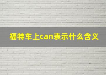 福特车上can表示什么含义