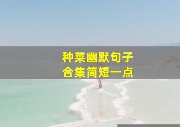 种菜幽默句子合集简短一点