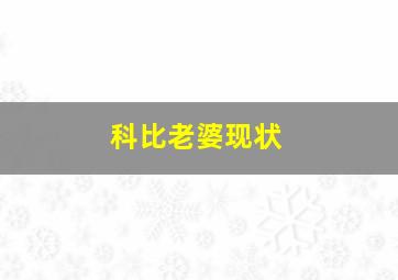 科比老婆现状