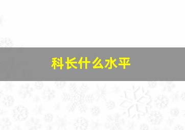 科长什么水平