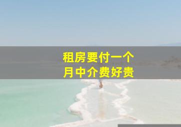 租房要付一个月中介费好贵