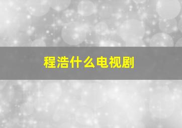 程浩什么电视剧