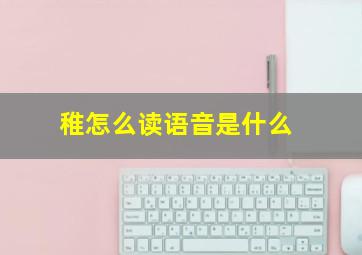 稚怎么读语音是什么