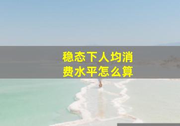 稳态下人均消费水平怎么算