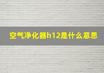 空气净化器h12是什么意思