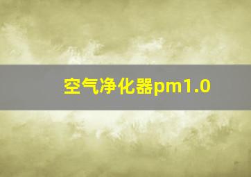 空气净化器pm1.0