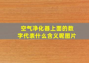 空气净化器上面的数字代表什么含义呢图片