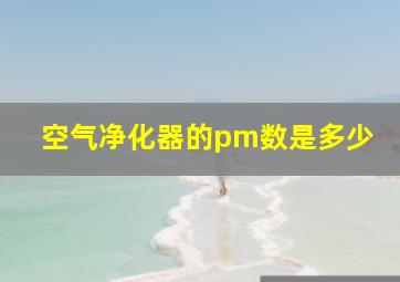 空气净化器的pm数是多少