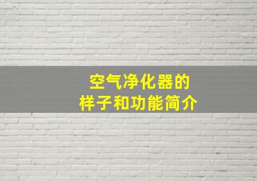 空气净化器的样子和功能简介