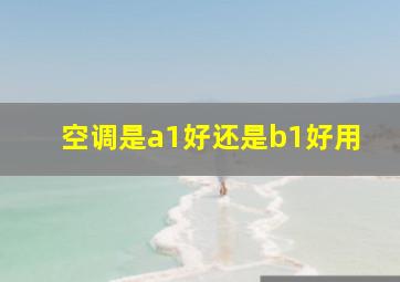 空调是a1好还是b1好用