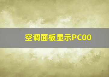 空调面板显示PC00