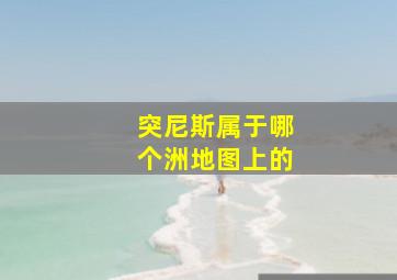 突尼斯属于哪个洲地图上的