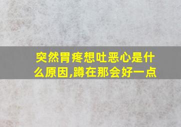 突然胃疼想吐恶心是什么原因,蹲在那会好一点