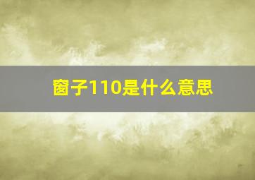 窗子110是什么意思