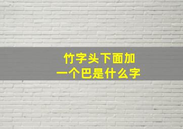 竹字头下面加一个巴是什么字