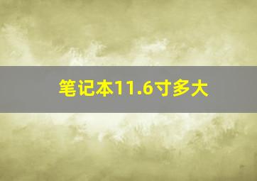 笔记本11.6寸多大