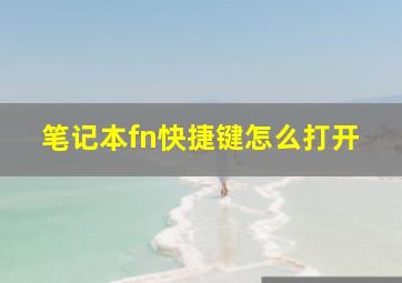 笔记本fn快捷键怎么打开