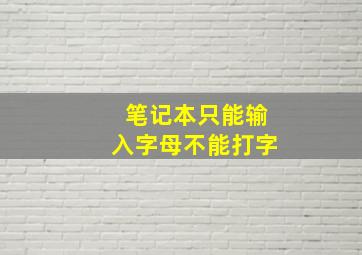 笔记本只能输入字母不能打字