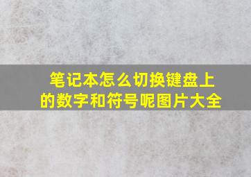 笔记本怎么切换键盘上的数字和符号呢图片大全