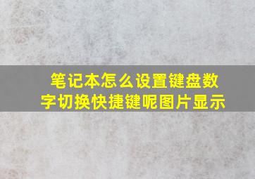 笔记本怎么设置键盘数字切换快捷键呢图片显示