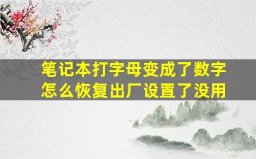 笔记本打字母变成了数字怎么恢复出厂设置了没用