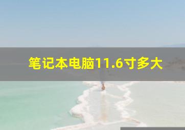 笔记本电脑11.6寸多大