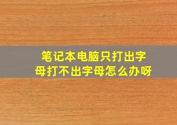 笔记本电脑只打出字母打不出字母怎么办呀