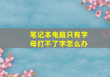 笔记本电脑只有字母打不了字怎么办