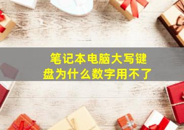 笔记本电脑大写键盘为什么数字用不了