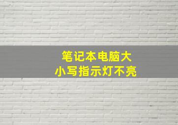 笔记本电脑大小写指示灯不亮