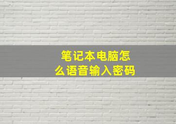 笔记本电脑怎么语音输入密码