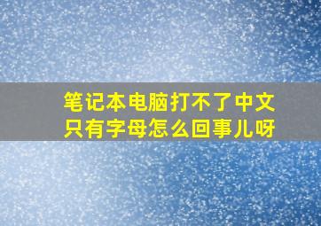 笔记本电脑打不了中文只有字母怎么回事儿呀