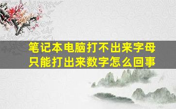 笔记本电脑打不出来字母只能打出来数字怎么回事