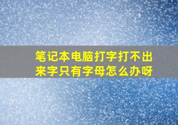 笔记本电脑打字打不出来字只有字母怎么办呀