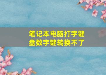 笔记本电脑打字键盘数字键转换不了