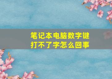 笔记本电脑数字键打不了字怎么回事