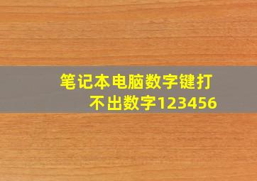 笔记本电脑数字键打不出数字123456