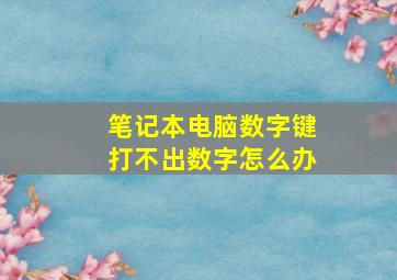 笔记本电脑数字键打不出数字怎么办