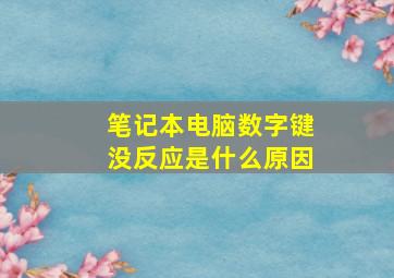 笔记本电脑数字键没反应是什么原因