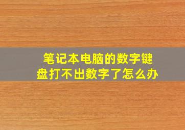 笔记本电脑的数字键盘打不出数字了怎么办