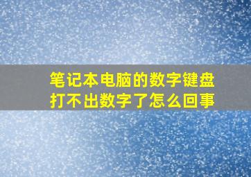 笔记本电脑的数字键盘打不出数字了怎么回事