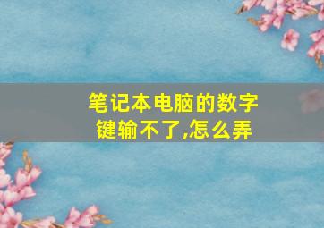 笔记本电脑的数字键输不了,怎么弄